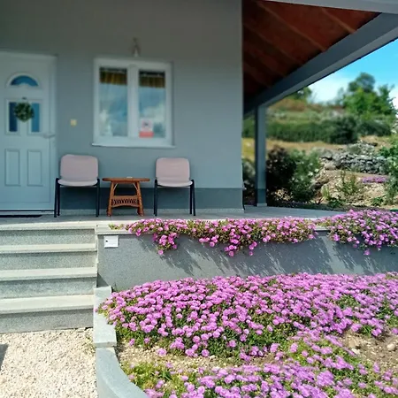 Holiday home Rosa Ricice (Prolozac)
