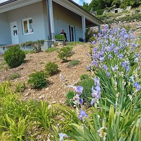 Rosa Holiday home Ricice (Prolozac)