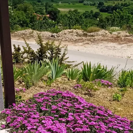 Holiday home Rosa