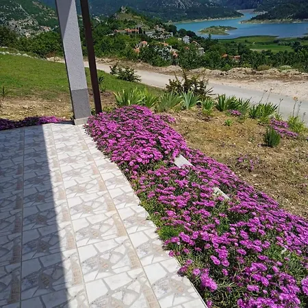 Rosa Holiday home *
