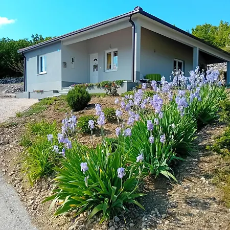 Rosa Holiday home Ricice (Prolozac)
