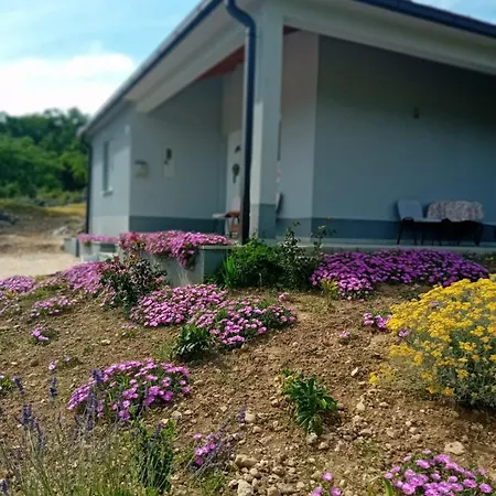 Дом отдыха Rosa Ricice (Prolozac)